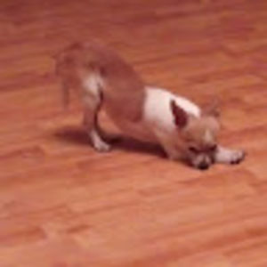 Meet your Posher, Kendell